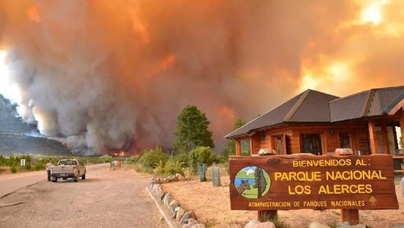 Casi Mil Hect Reas De Zonas Protegidas Fueron Afectadas Por