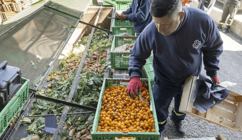 alimentos