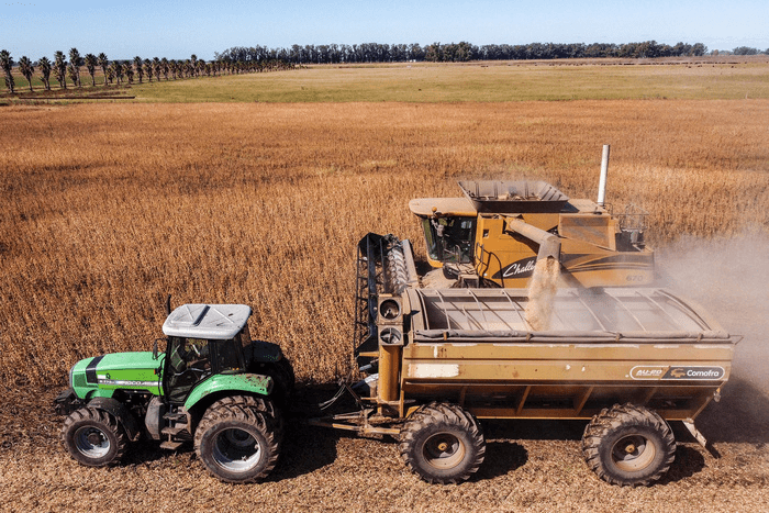 campo empresa agropecuaria