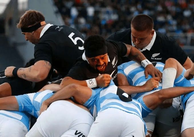 pumas