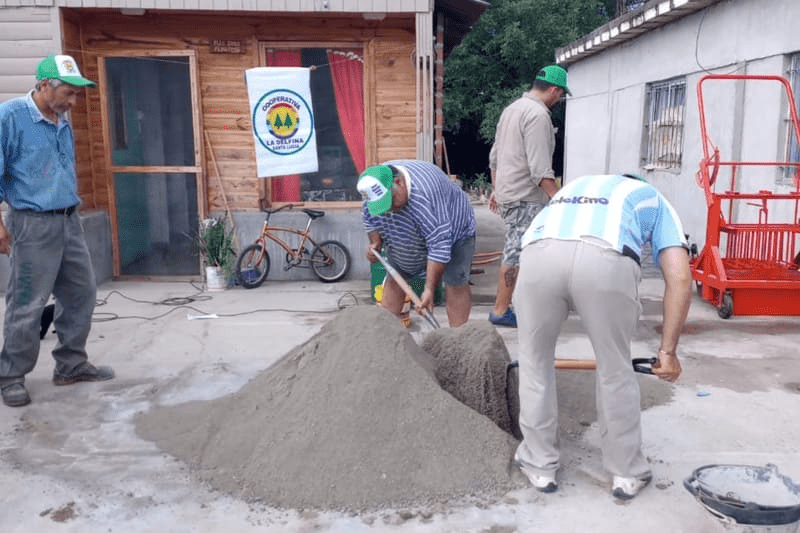 cooperativa