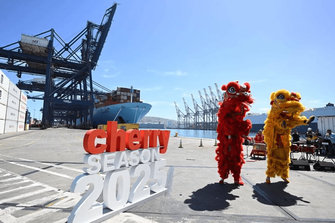 Shangai espera la llegada de las cerezas chilenas