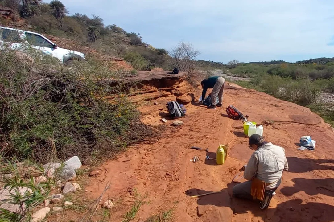hallazgo historico en Córdoba