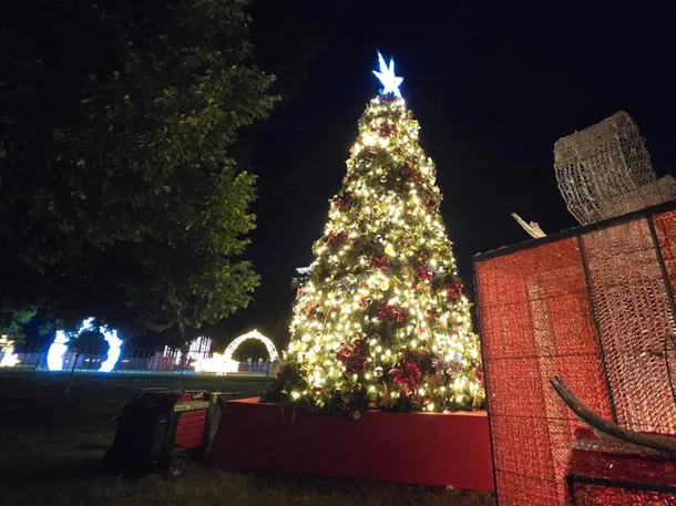 servicios en navidad