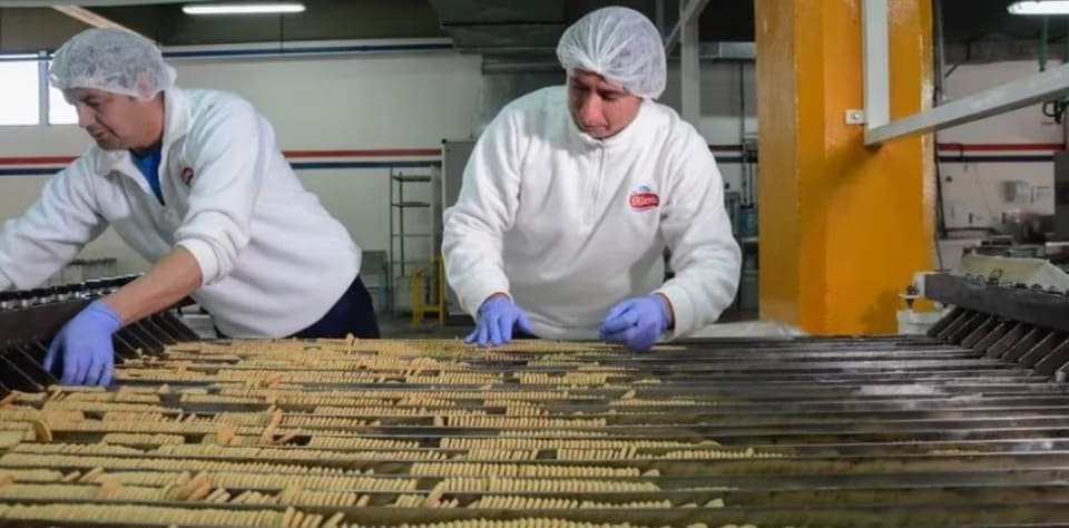 plaanta de galletas tia maruca