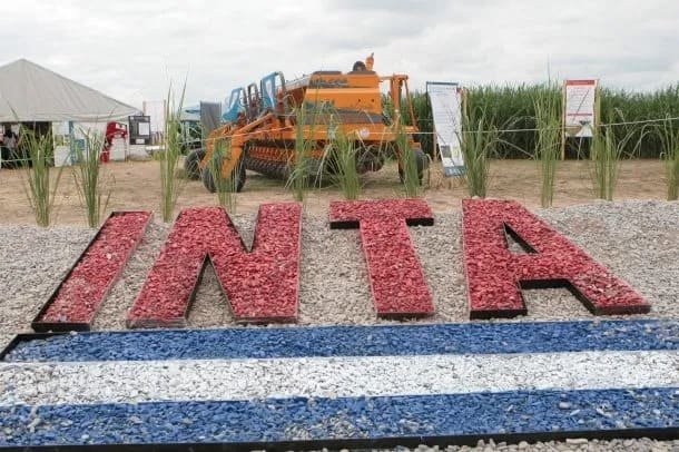 el inta
