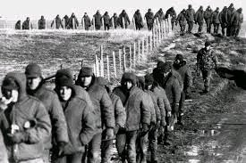 malvinas
