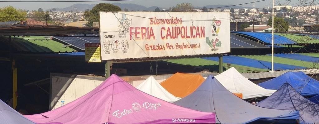 feria chile