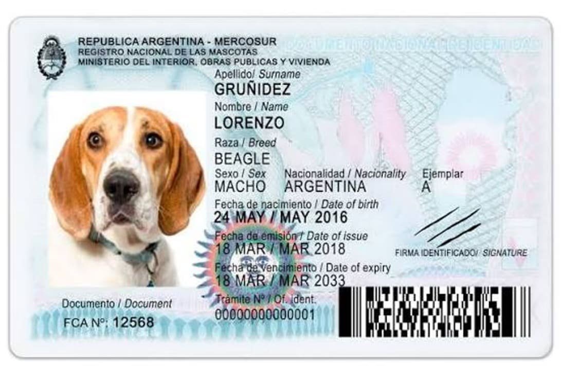 DNI PARA MASCOTAS