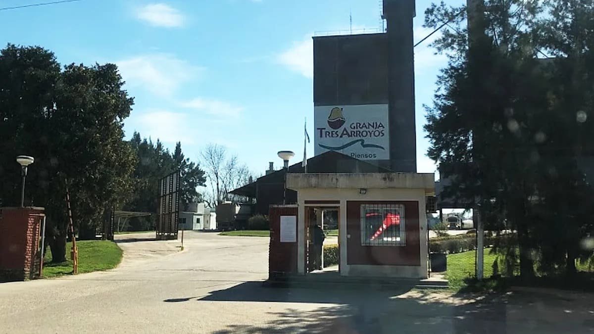 Economia