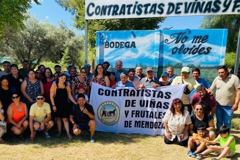 cooperativas elaboran vinos