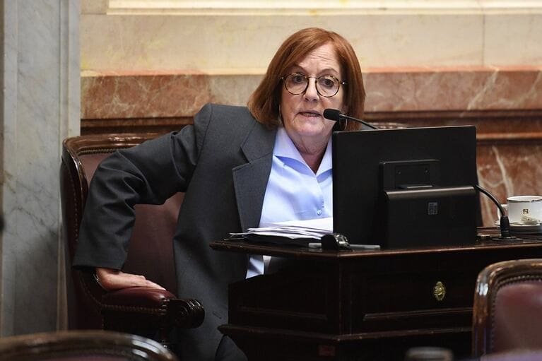 alejandra-vigo-senadora-provincias-unidas-foto-senado-nacional-HAKHNBWLB5CARI4YIXISK3YUYU
