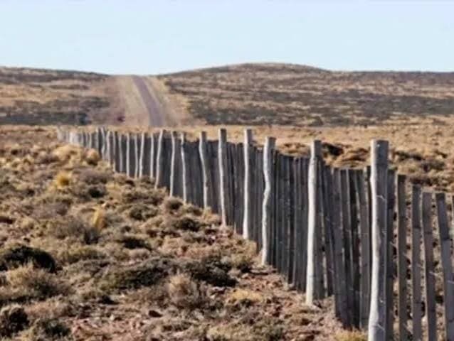 venta de tierras extranjeras