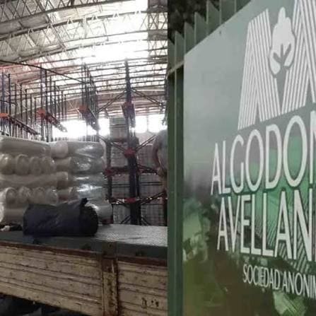 algodoneria avellaneda