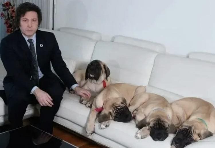los perros de milei