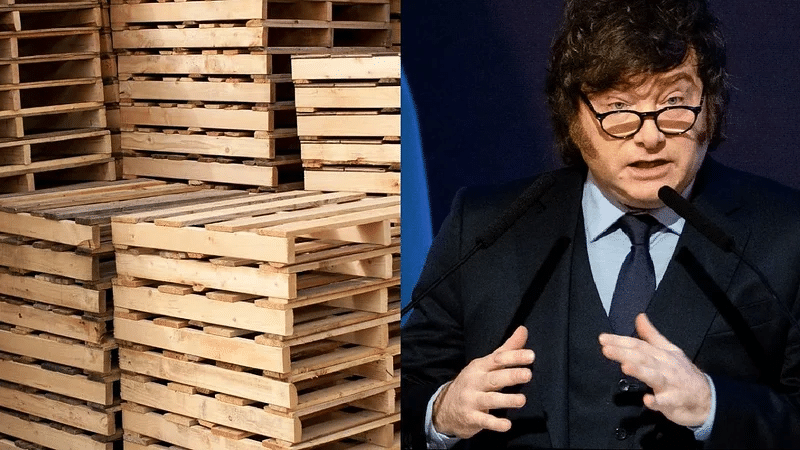 Pallets, economia, milei
